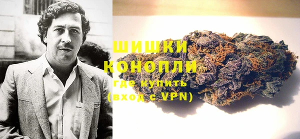 PSILOCYBIN Бронницы