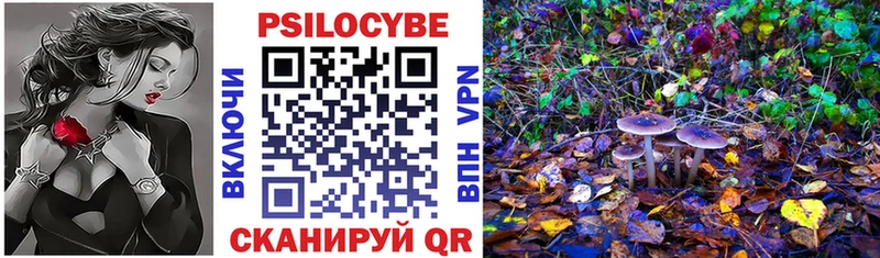 Псилоцибиновые грибы Psilocybine cubensis  Купить где  Торжок 